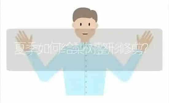 夏季如何给梨树整形修剪? | 瓜果种植
