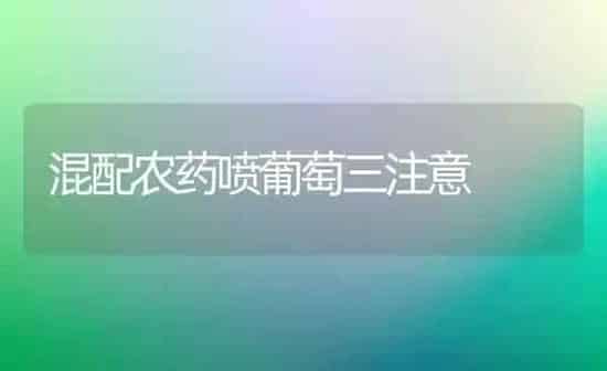 混配农药喷葡萄三注意 | 种植病虫害防治