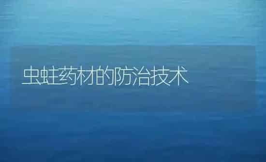 虫蛀药材的防治技术 | 药材种植