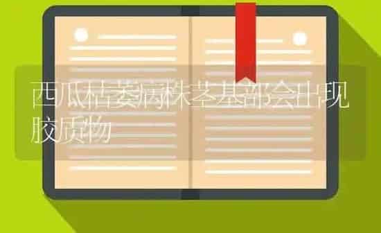 西瓜枯萎病株茎基部会出现胶质物 | 瓜果种植