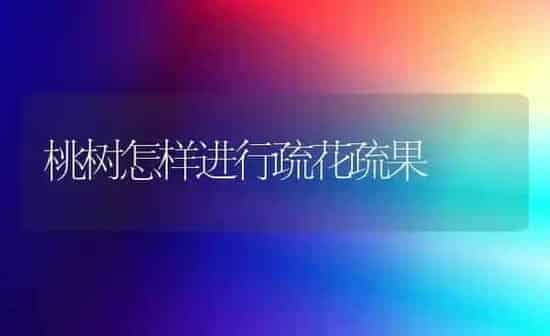 桃树怎样进行疏花疏果 | 瓜果种植