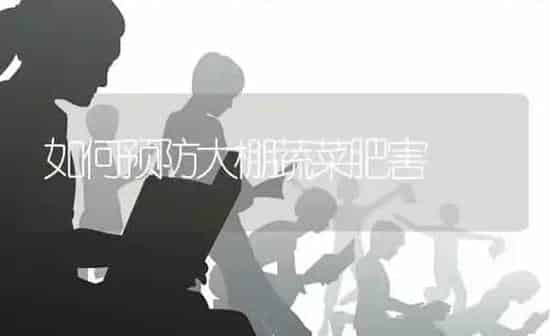如何预防大棚蔬菜肥害 | 蔬菜种植