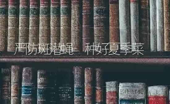 严防斑潜蝇 种好夏季菜 | 蔬菜种植