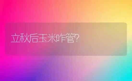 立秋后玉米咋管？ | 粮油作物种植