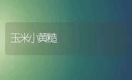 玉米小黄糙 | 粮油作物种植