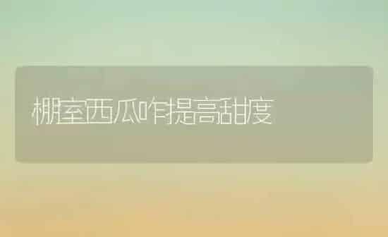 棚室西瓜咋提高甜度 | 瓜果种植