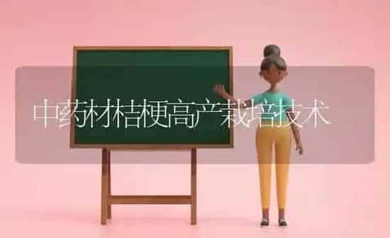 中药材桔梗高产栽培技术 | 药材种植