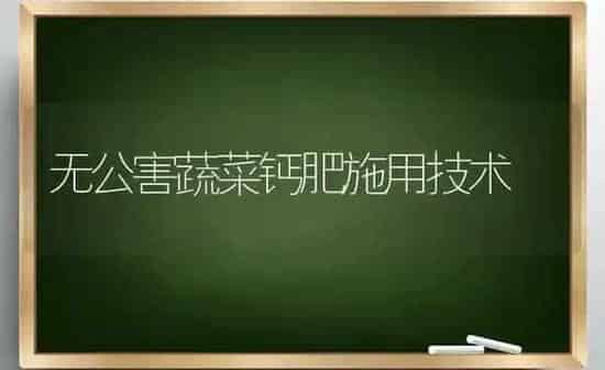 无公害蔬菜钙肥施用技术 | 蔬菜种植