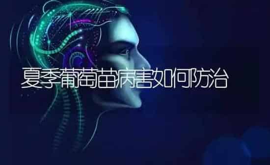 夏季葡萄苗病害如何防治 | 瓜果种植