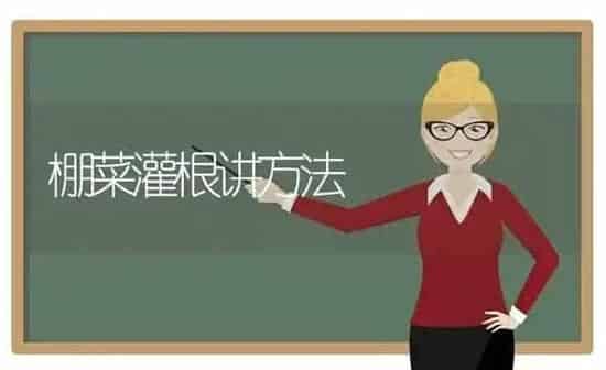 棚菜灌根讲方法 | 蔬菜种植