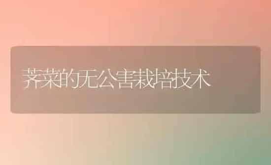 荠菜的无公害栽培技术 | 蔬菜种植