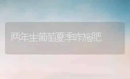 两年生葡萄夏季咋施肥 | 种植肥料施肥
