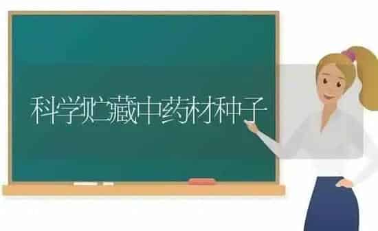 科学贮藏中药材种子 | 药材种植