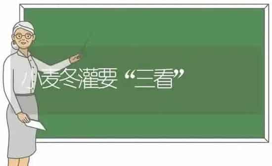 小麦冬灌要“三看” | 粮油作物种植
