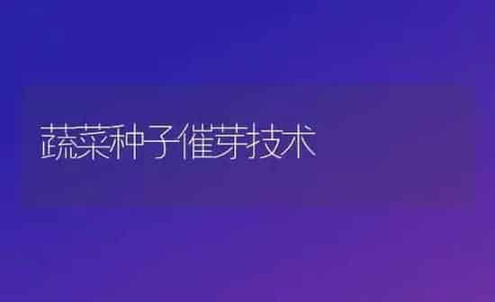 蔬菜种子催芽技术 | 蔬菜种植
