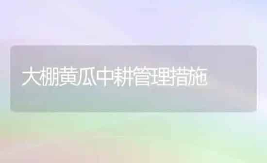大棚黄瓜中耕管理措施 | 蔬菜种植