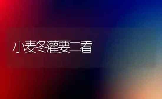 小麦冬灌要二看 | 粮油作物种植