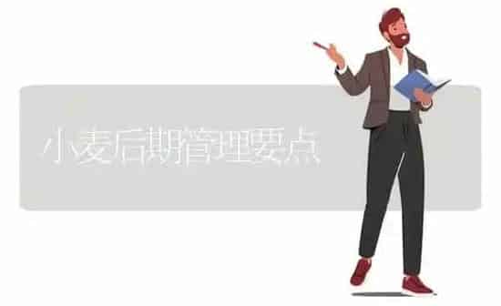 小麦后期管理要点 | 粮油作物种植
