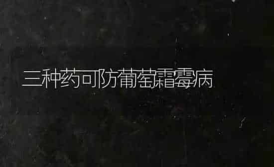 三种药可防葡萄霜霉病 | 瓜果种植