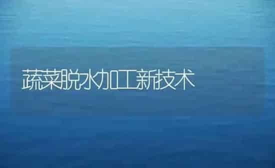 蔬菜脱水加工新技术 | 蔬菜种植