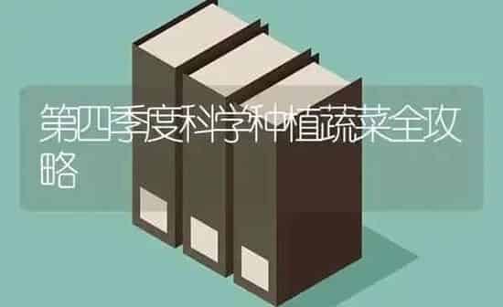 第四季度科学种植蔬菜全攻略 | 蔬菜种植