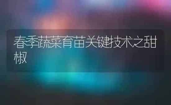 春季蔬菜育苗关键技术之甜椒 | 蔬菜种植