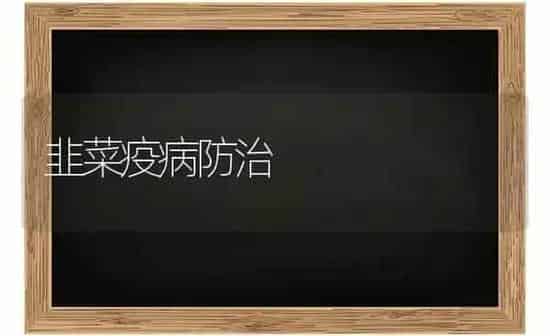 韭菜疫病防治 | 蔬菜种植