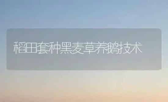 小麦贮藏技巧 | 粮油作物种植