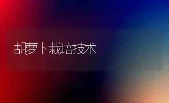 胡萝卜栽培技术 | 蔬菜种植