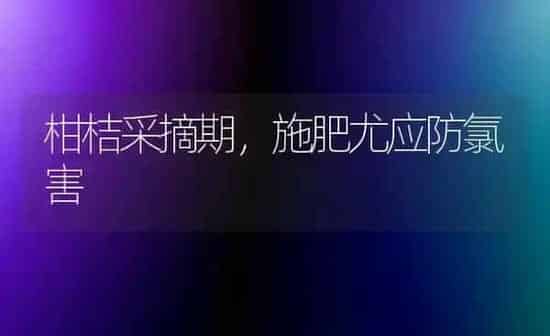 柑桔采摘期，施肥尤应防氯害 | 种植肥料施肥