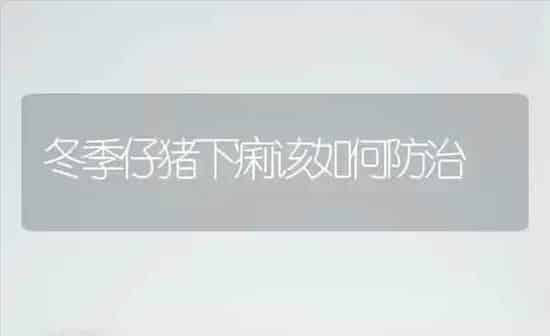 玉米青枯病防治措施 | 粮油作物种植