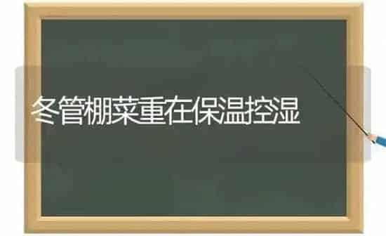 冬管棚菜重在保温控湿 | 蔬菜种植