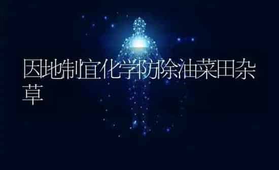 因地制宜化学防除油菜田杂草 | 粮油作物种植