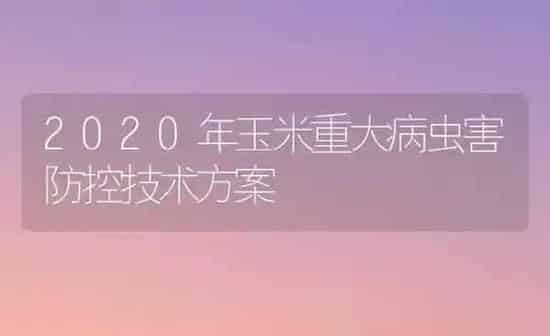 2020年玉米重大病虫害防控技术方案 | 种植病虫害防治