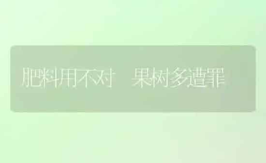 肥料用不对 果树多遭罪 | 瓜果种植