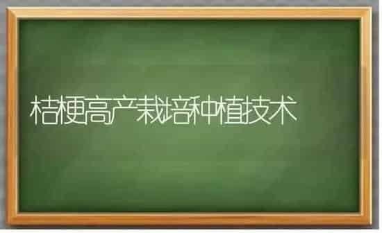 桔梗高产栽培种植技术 | 植物种植百科