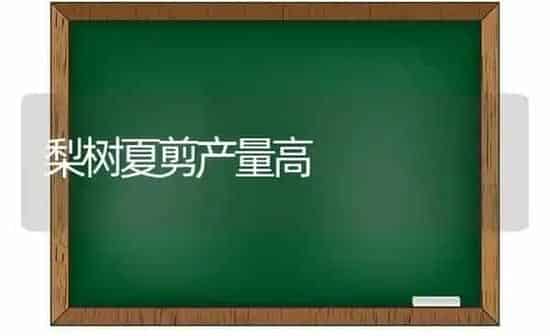 梨树夏剪产量高 | 瓜果种植