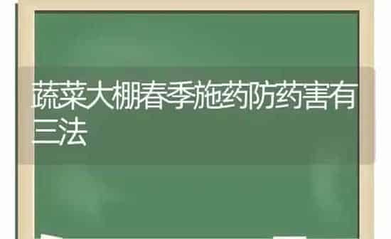 蔬菜大棚春季施药防药害有三法 | 蔬菜种植