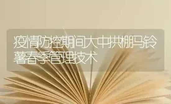 疫情防控期间大中拱棚马铃薯春季管理技术 | 粮油作物种植