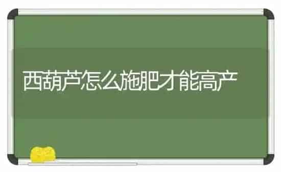 西葫芦怎么施肥才能高产 | 种植肥料施肥