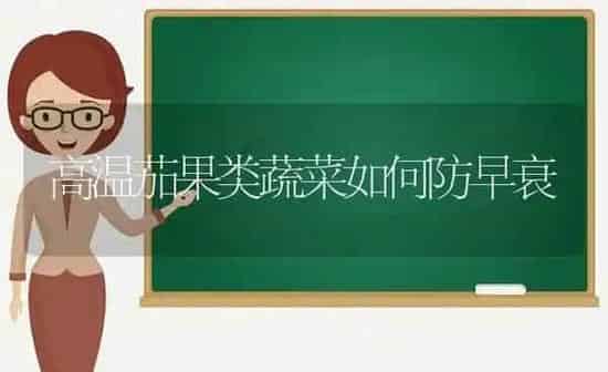 高温茄果类蔬菜如何防早衰 | 蔬菜种植