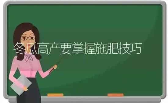 冬瓜高产要掌握施肥技巧 | 种植肥料施肥