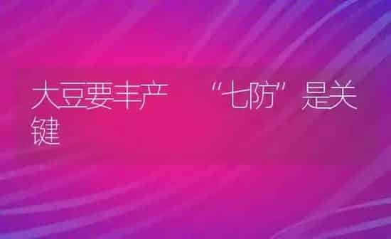 大豆要丰产 “七防”是关键 | 粮油作物种植