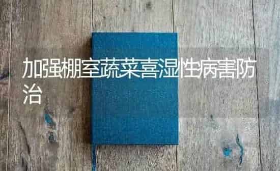 加强棚室蔬菜喜湿性病害防治 | 蔬菜种植
