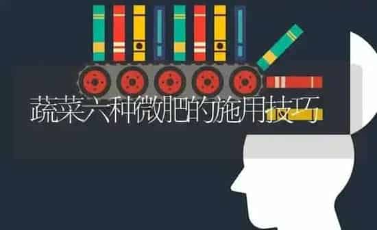蔬菜六种微肥的施用技巧 | 蔬菜种植