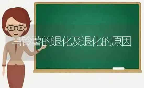 马铃薯的退化及退化的原因 | 粮油作物种植
