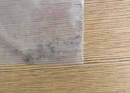 植物播种|百万小铃怎么留种子