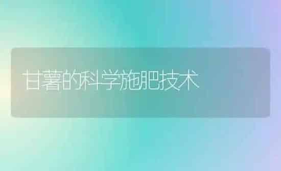 甘薯的科学施肥技术 | 种植肥料施肥