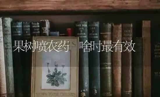 果树喷农药 啥时最有效 | 瓜果种植