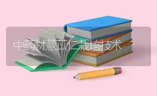 中药材薏苡仁栽培技术 | 药材种植